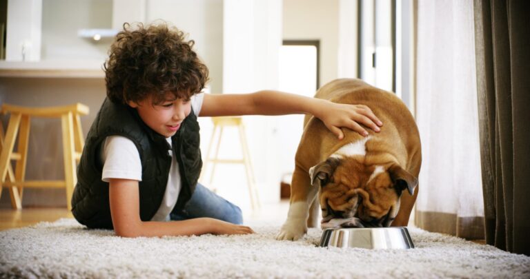 Un chien en train de manger dans une gamelle